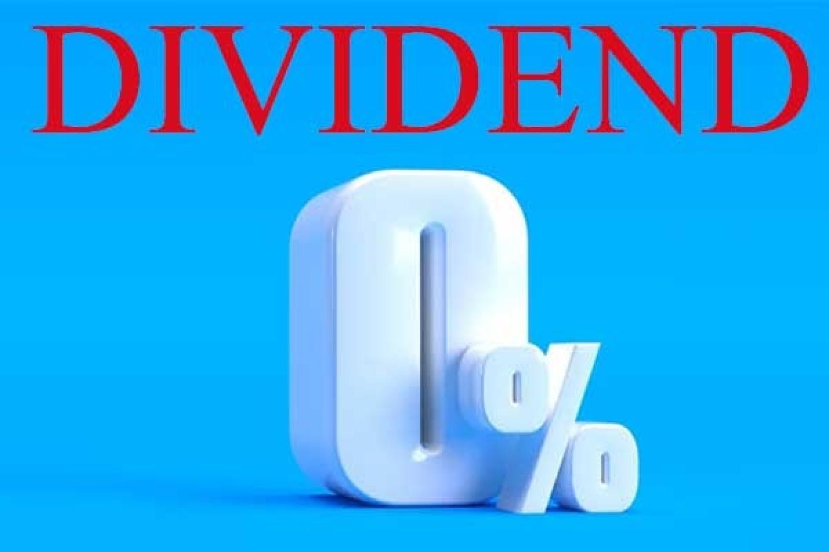 Performance of Stocks That Do Not Pay Dividends Over Time